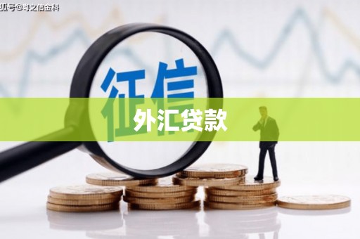 徐闻外汇贷款