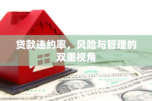 徐闻贷款违约率，风险与管理的双重视角