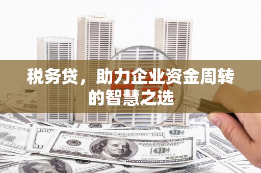 徐闻税务贷，助力企业资金周转的智慧之选