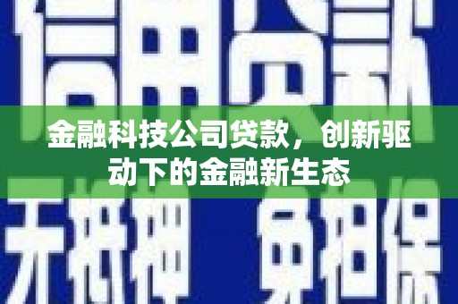 徐闻金融科技公司贷款，创新驱动下的金融新生态