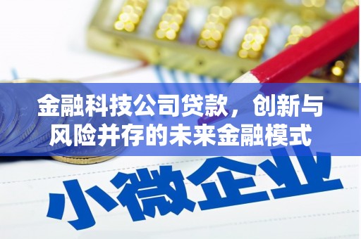 徐闻金融科技公司贷款，创新与风险并存的未来金融模式