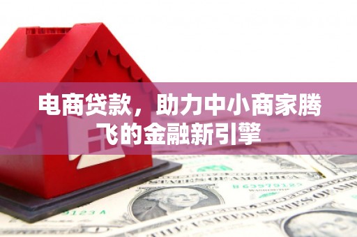 徐闻电商贷款，助力中小商家腾飞的金融新引擎