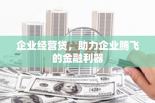 徐闻企业经营贷，助力企业腾飞的金融利器