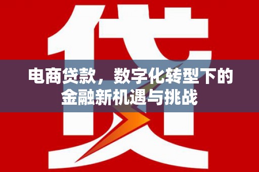 徐闻电商贷款，数字化转型下的金融新机遇与挑战