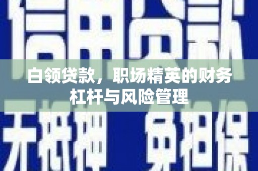 徐闻白领贷款，职场精英的财务杠杆与风险管理