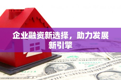 徐闻企业融资新选择，助力发展新引擎