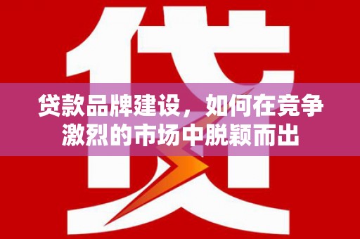 徐闻贷款品牌建设，如何在竞争激烈的市场中脱颖而出