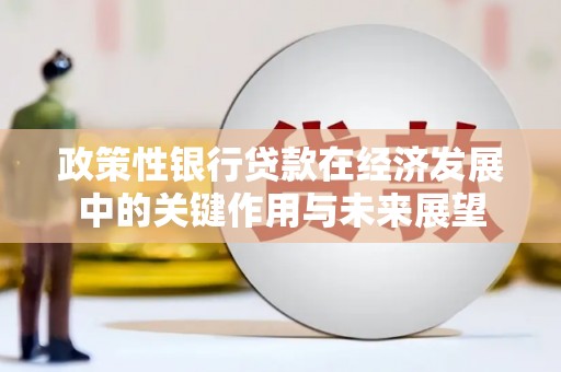 徐闻政策性银行贷款在经济发展中的关键作用与未来展望