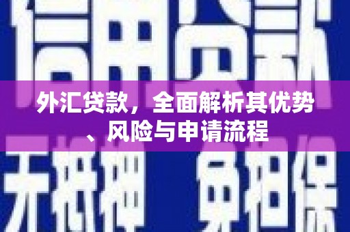 徐闻外汇贷款，全面解析其优势、风险与申请流程