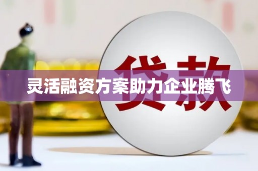 徐闻灵活融资方案助力企业腾飞