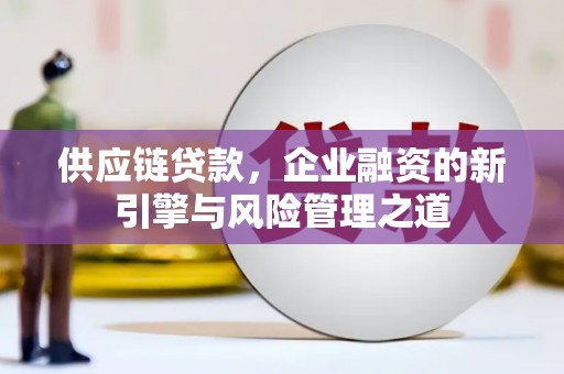 徐闻供应链贷款，企业融资的新引擎与风险管理之道