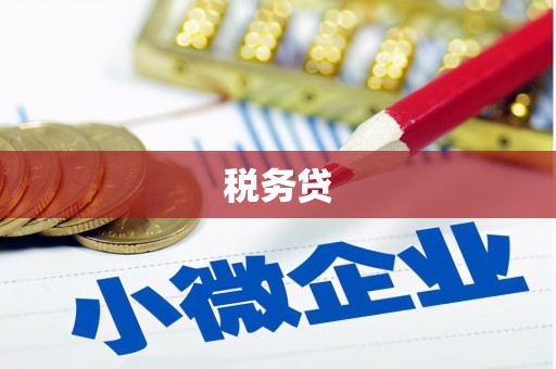 徐闻税务贷