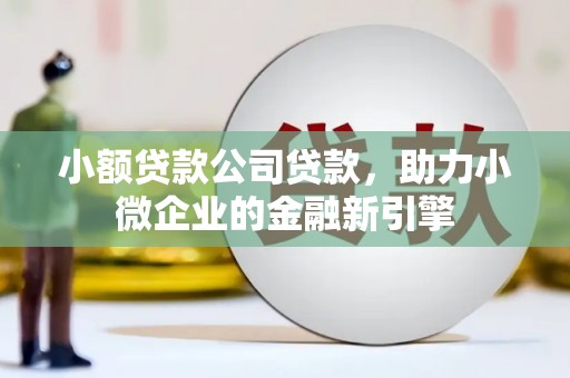 徐闻小额贷款公司贷款，助力小微企业的金融新引擎