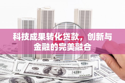 徐闻科技成果转化贷款，创新与金融的完美融合