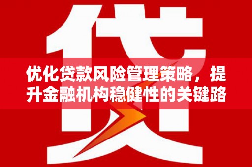 徐闻优化贷款风险管理策略，提升金融机构稳健性的关键路径