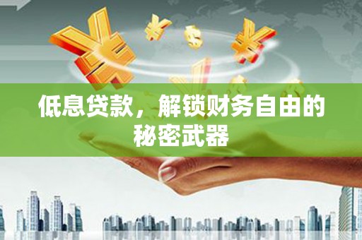 徐闻低息贷款，解锁财务自由的秘密武器