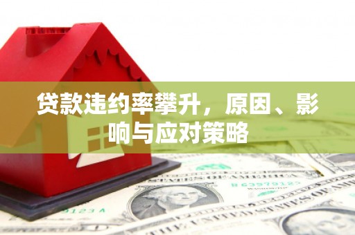 徐闻贷款违约率攀升，原因、影响与应对策略