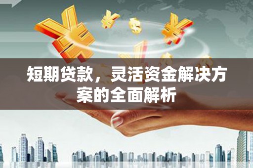 徐闻短期贷款，灵活资金解决方案的全面解析