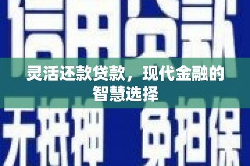 徐闻灵活还款贷款，现代金融的智慧选择
