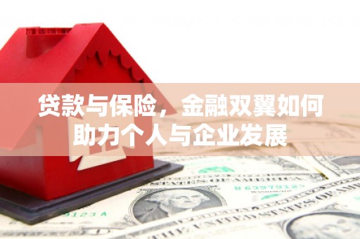 徐闻贷款与保险，金融双翼如何助力个人与企业发展