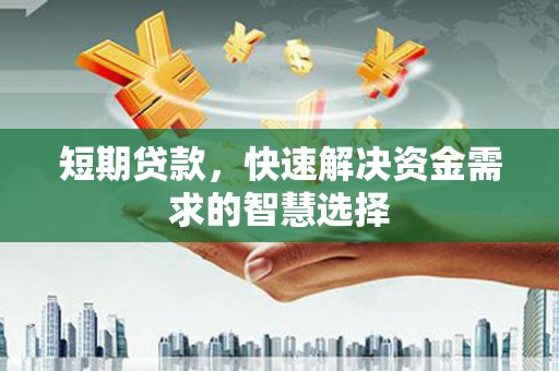 徐闻短期贷款，快速解决资金需求的智慧选择