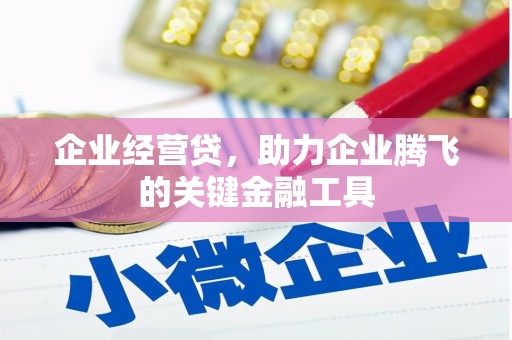 徐闻企业经营贷，助力企业腾飞的关键金融工具