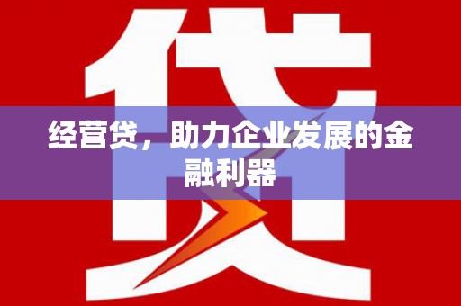 徐闻经营贷，助力企业发展的金融利器