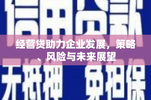 徐闻经营贷助力企业发展，策略、风险与未来展望