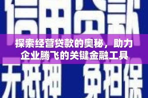 徐闻探索经营贷款的奥秘，助力企业腾飞的关键金融工具