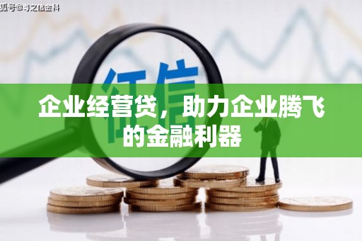 徐闻企业经营贷，助力企业腾飞的金融利器
