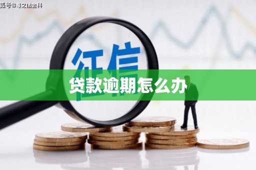 徐闻贷款逾期怎么办