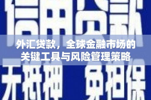 徐闻外汇贷款，全球金融市场的关键工具与风险管理策略
