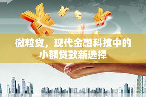 徐闻微粒贷，现代金融科技中的小额贷款新选择