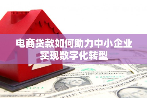 徐闻电商贷款如何助力中小企业实现数字化转型