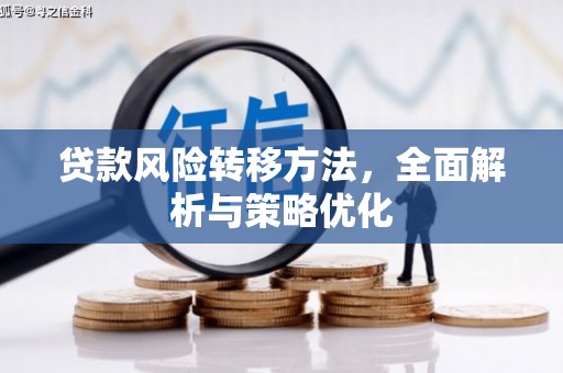 徐闻贷款风险转移方法，全面解析与策略优化