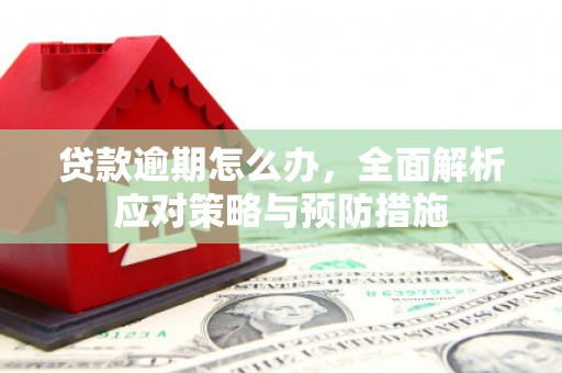 徐闻贷款逾期怎么办，全面解析应对策略与预防措施