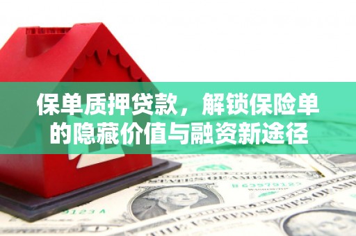 徐闻保单质押贷款，解锁保险单的隐藏价值与融资新途径