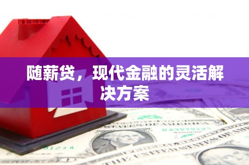 徐闻随薪贷，现代金融的灵活解决方案
