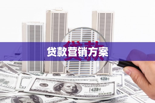 徐闻贷款营销方案