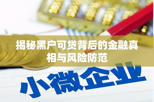 徐闻揭秘黑户可贷背后的金融真相与风险防范