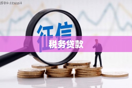徐闻税务贷款