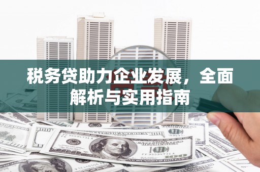 徐闻税务贷助力企业发展，全面解析与实用指南