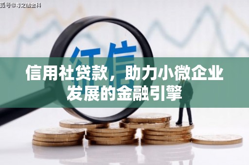 徐闻信用社贷款，助力小微企业发展的金融引擎