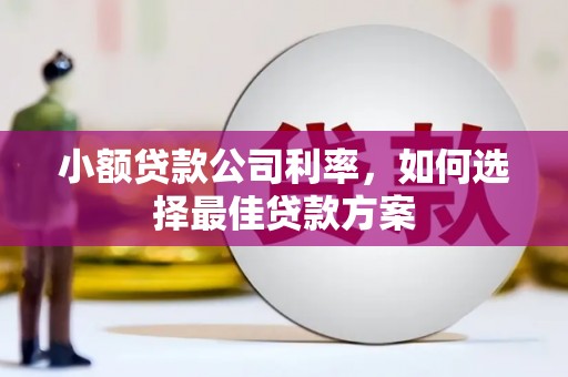 徐闻小额贷款公司利率，如何选择最佳贷款方案
