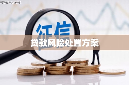 徐闻贷款风险处置方案