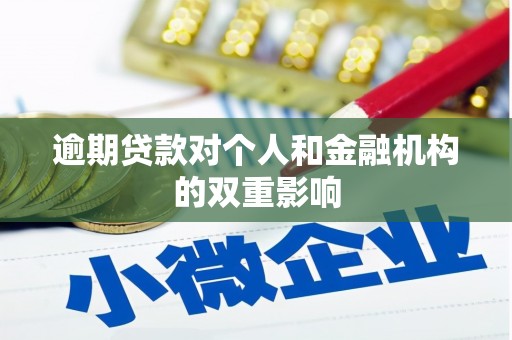 徐闻逾期贷款对个人和金融机构的双重影响