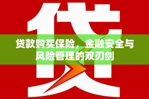 徐闻贷款购买保险，金融安全与风险管理的双刃剑