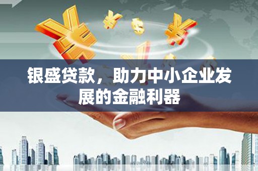 徐闻银盛贷款，助力中小企业发展的金融利器
