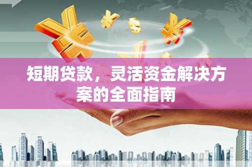 徐闻短期贷款，灵活资金解决方案的全面指南