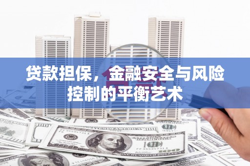 徐闻贷款担保，金融安全与风险控制的平衡艺术